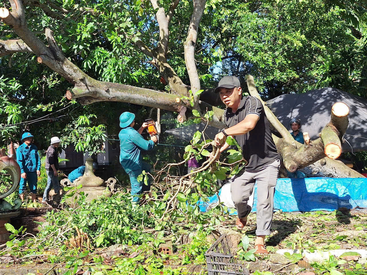 2471716397276834339 (1)